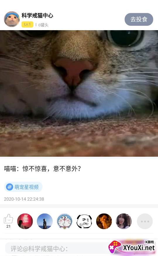 猫咪社区线上撸猫铲屎官版 猫咪社区线上撸猫铲屎官版
