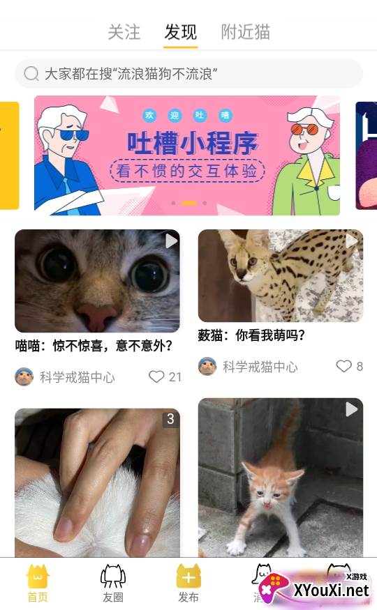 猫咪社区线上撸猫铲屎官版 猫咪社区线上撸猫铲屎官版