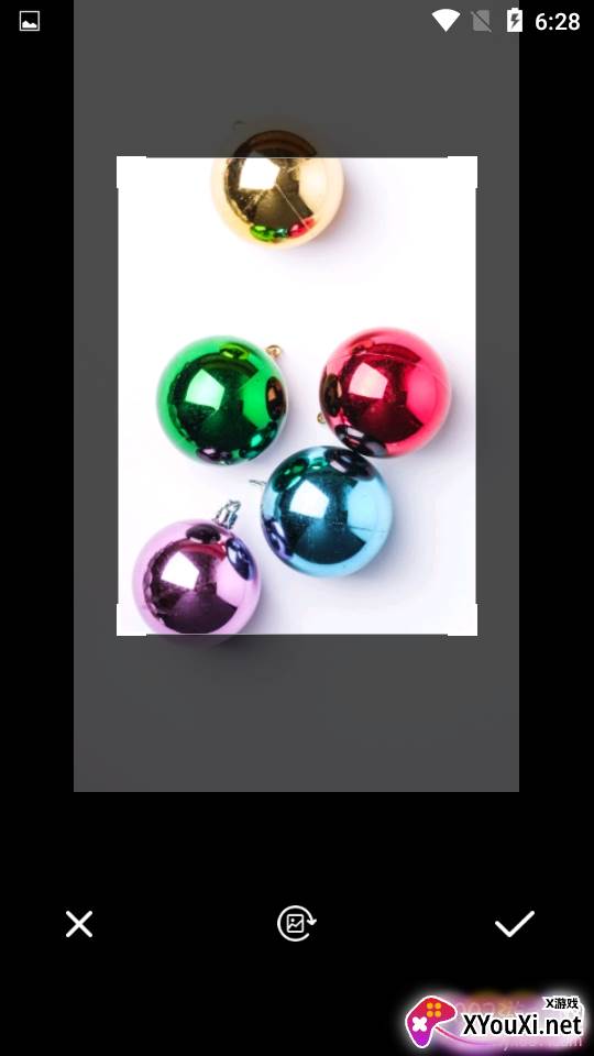 翠鸟AI智慧识物全能版 翠鸟AI智慧识物全能版