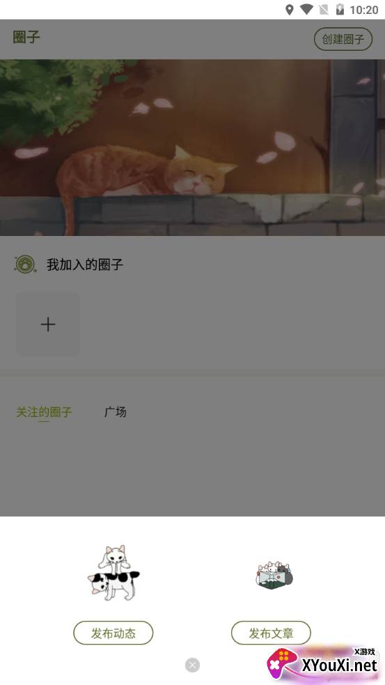 膝下猫云吸猫平台 膝下猫云吸猫平台
