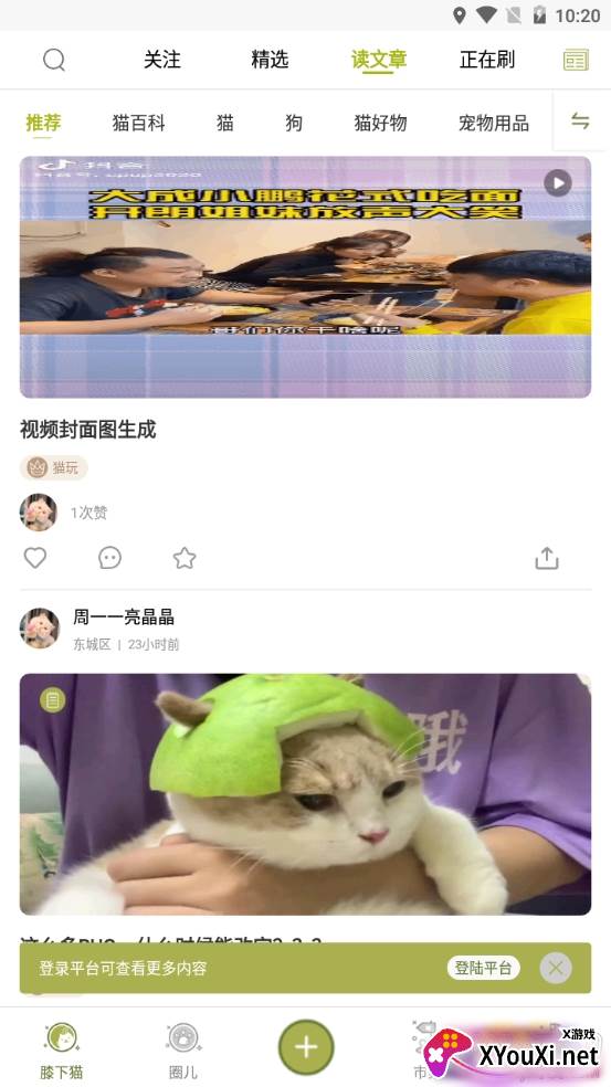 膝下猫云吸猫平台 膝下猫云吸猫平台