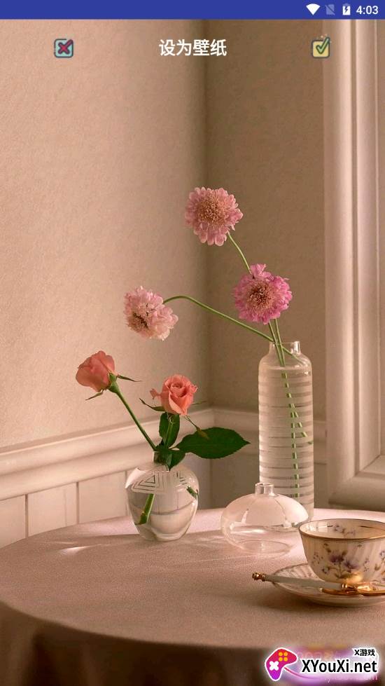 番茄壁纸小清新版 番茄壁纸小清新版