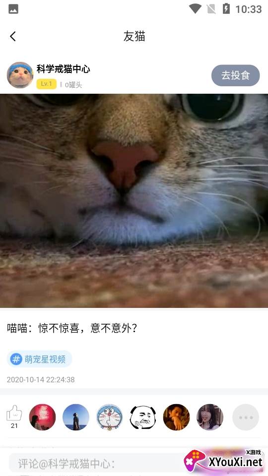 派多格宠物app活体交易版 派多格宠物app活体交易版
