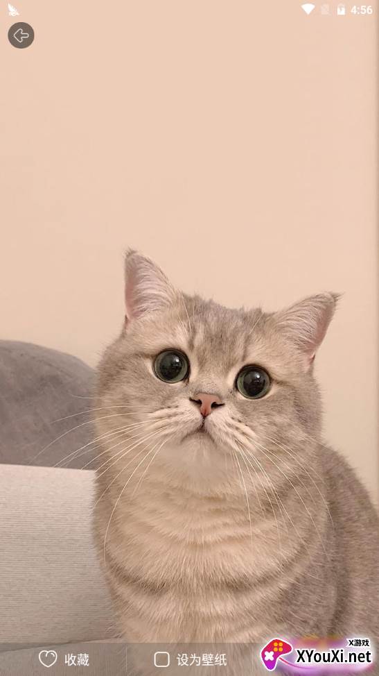 壁纸天天换高清版