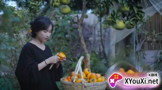快手极速版官方正版