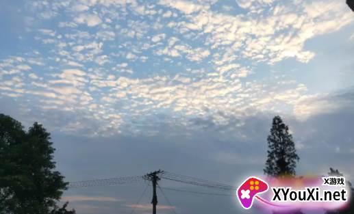 柔光相机软件手机版下载