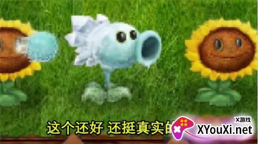 植物大战僵尸现实版游戏下载