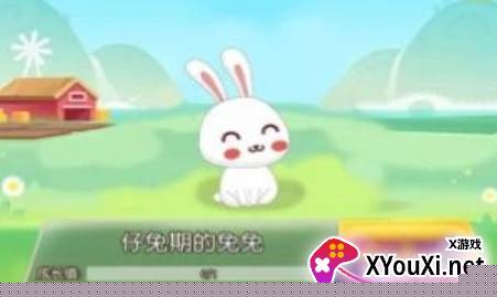 饲养小白兔游戏免费下载