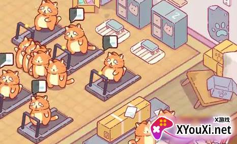 猫咪健身房手游官方版下载