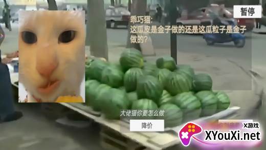 猫猫惊魂夜恐怖版手游下载