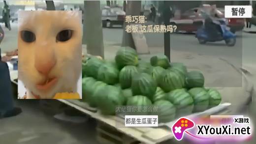 猫猫惊魂夜恐怖版手游下载