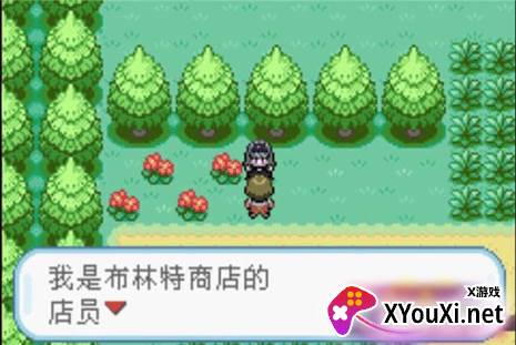 口袋妖怪火红叶绿金手指下载