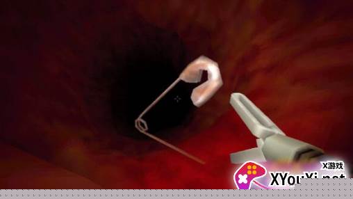 大肠的复仇移植版下载