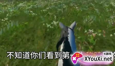 今天你骑马了吗游戏下载