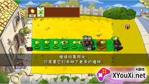 PvZEn版手游下载 PvZEn版手游下载
