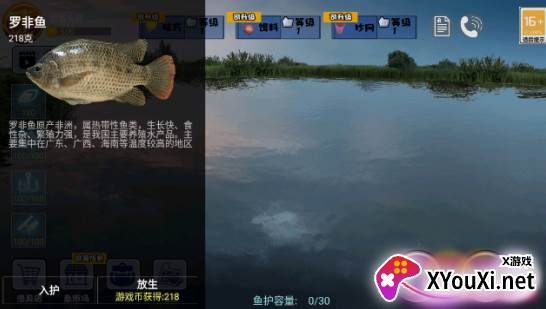 欢乐钓鱼王游戏下载