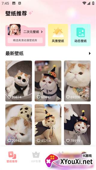 最美主题官方下载app