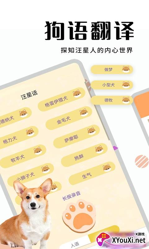 萌宠猫狗翻译趣味版截图