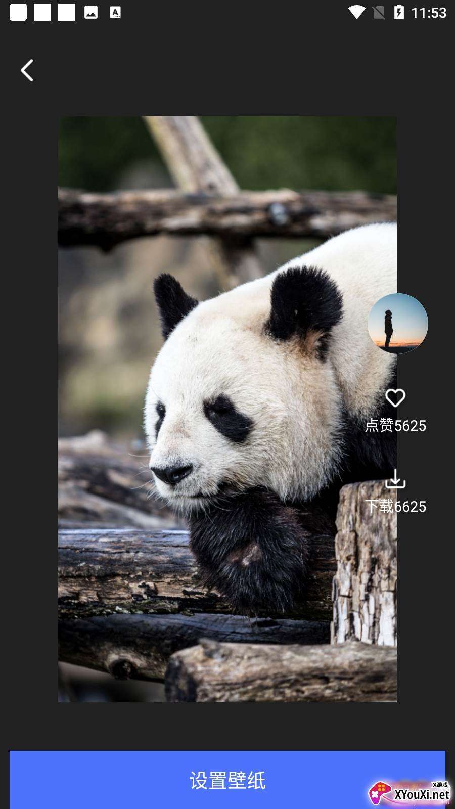 小英雄高清动态壁纸app最新版截图