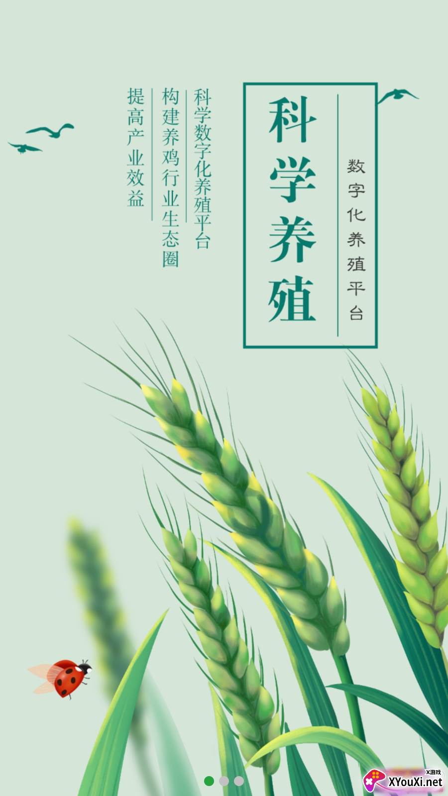 衎鸡会app养殖版截图