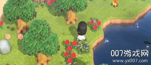 Pocket Camp(猛男捡树枝Switch移植版)截图