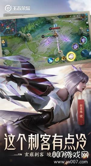 王者农药单机版旧版无需联网版截图