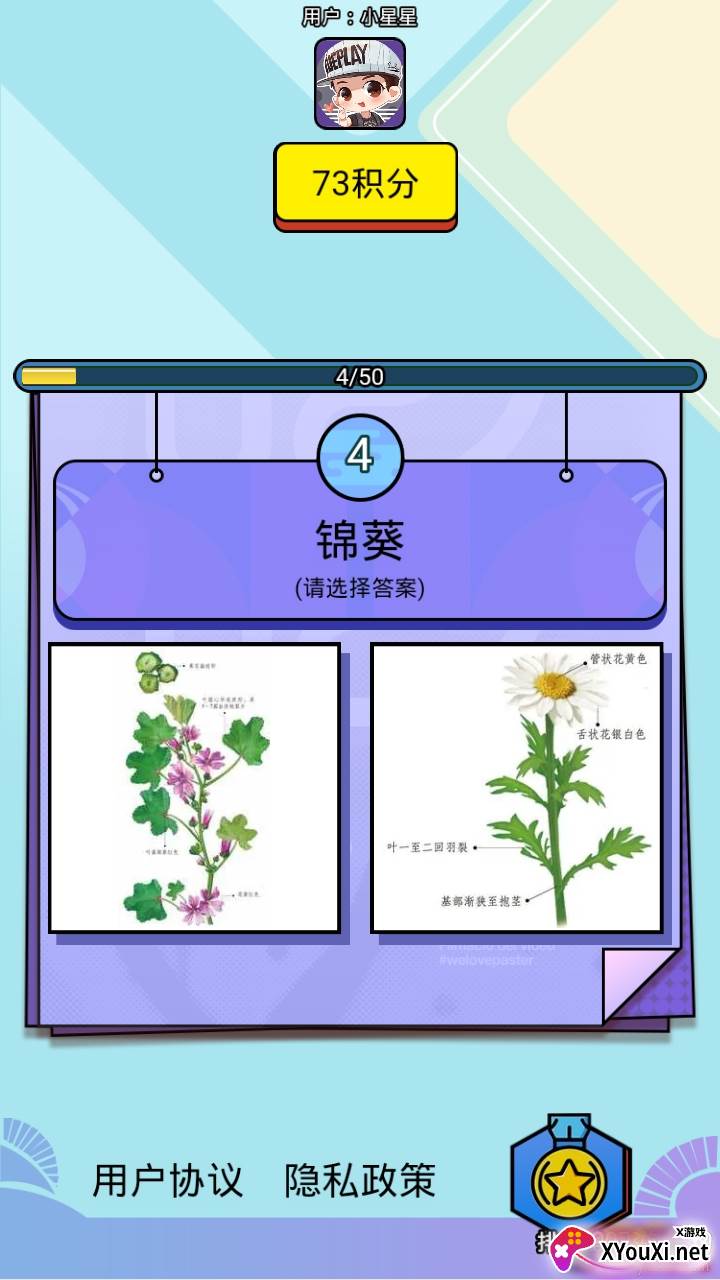 爱上鲜花最新版截图