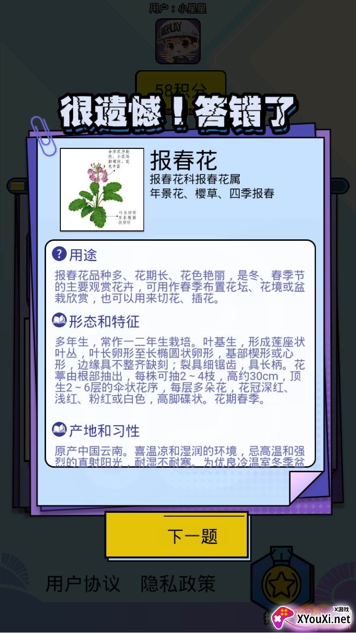 爱上鲜花最新版截图