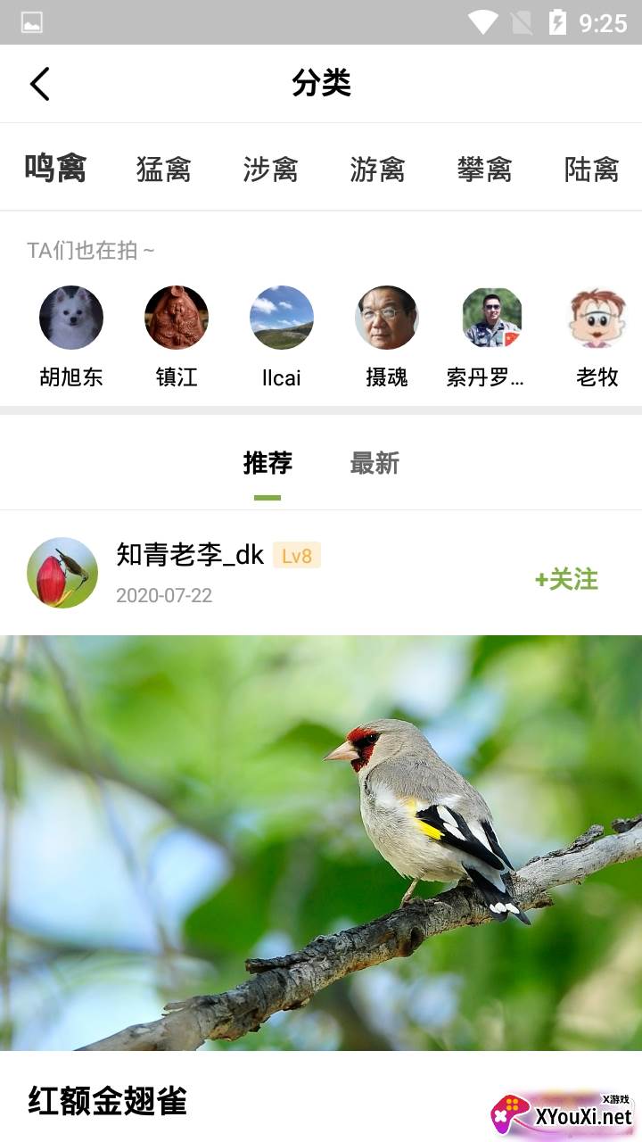 养鸟岛兴趣社区版截图