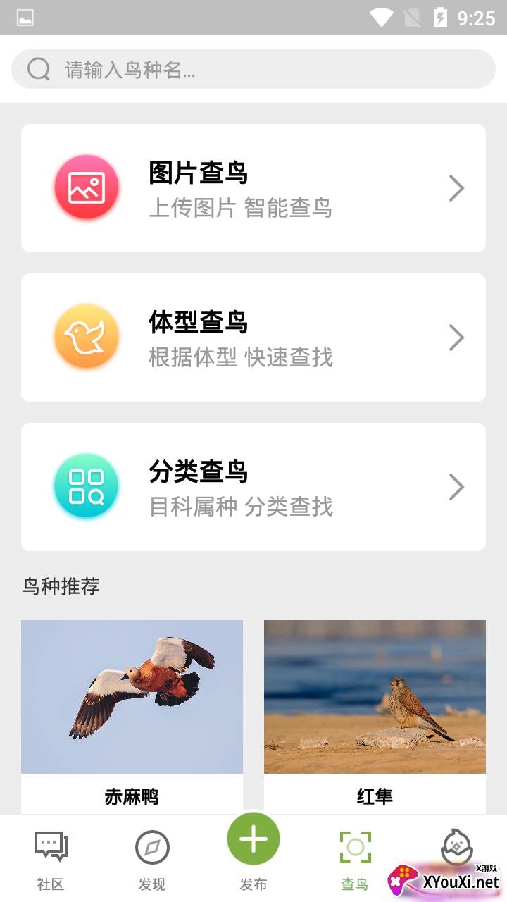 养鸟岛兴趣社区版截图
