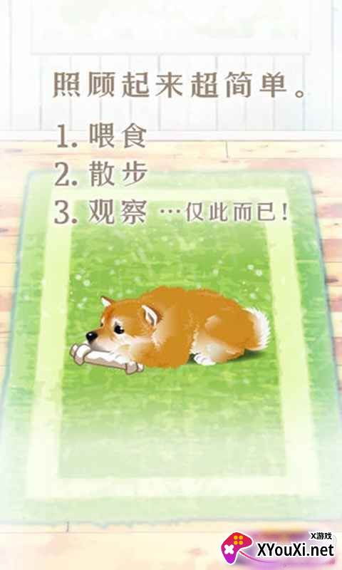 养育柴犬的治愈游戏汉化单机版截图