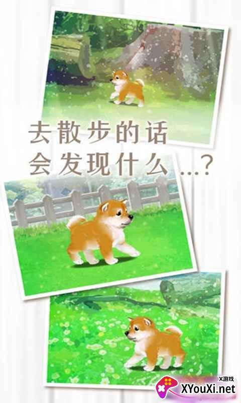 养育柴犬的治愈游戏汉化单机版截图