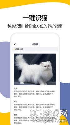 猫语翻译大全免费版截图