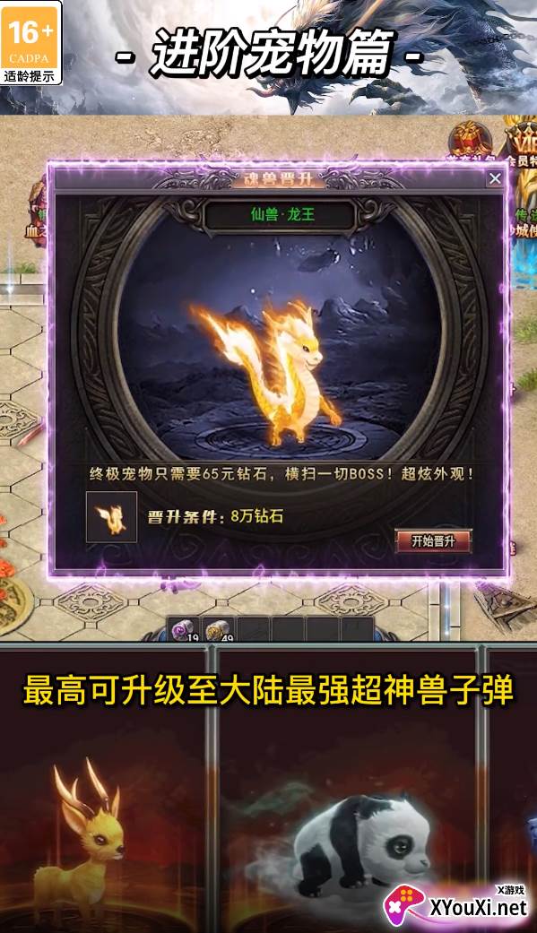 顺玩骑士传奇截图