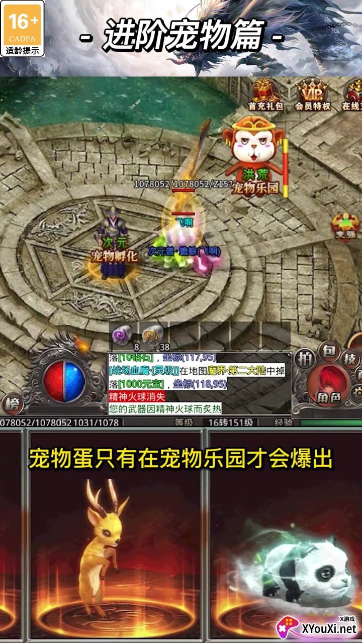 顺玩骑士传奇截图