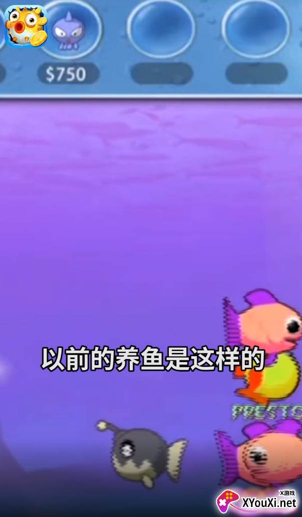 欢乐赚金鱼截图