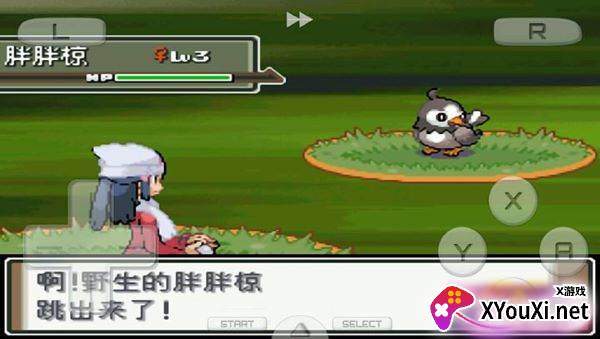 口袋妖怪白金(宝可梦白金)截图