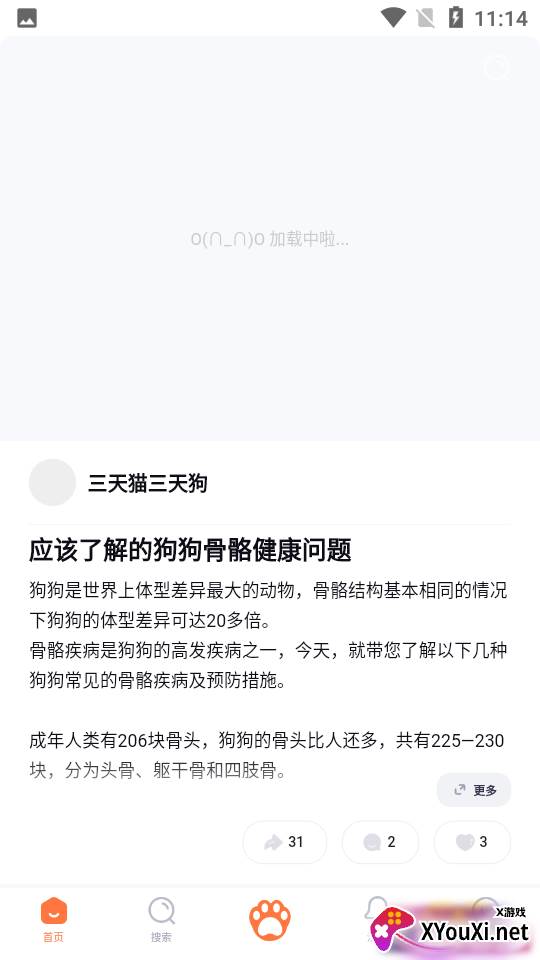 铲屎啦官方版截图