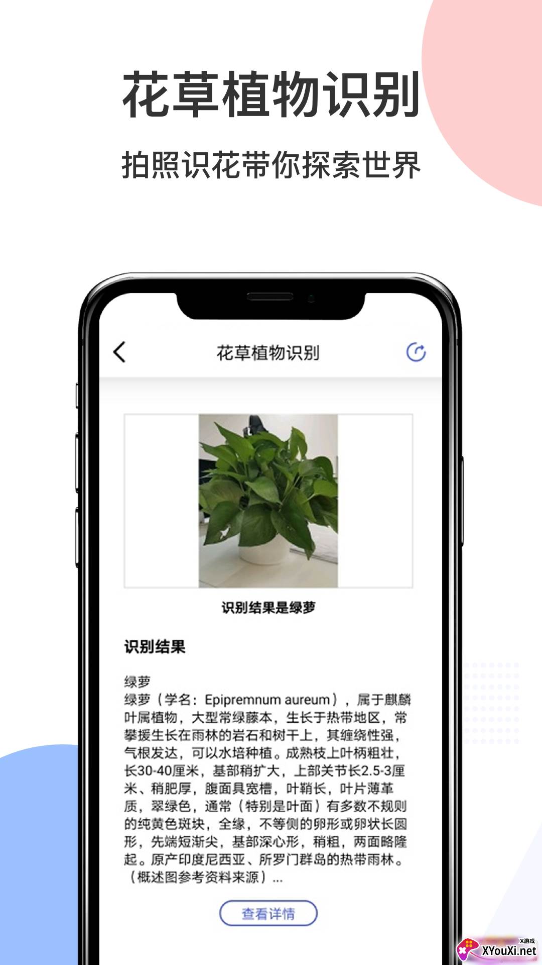 智慧识图Pro精准版截图