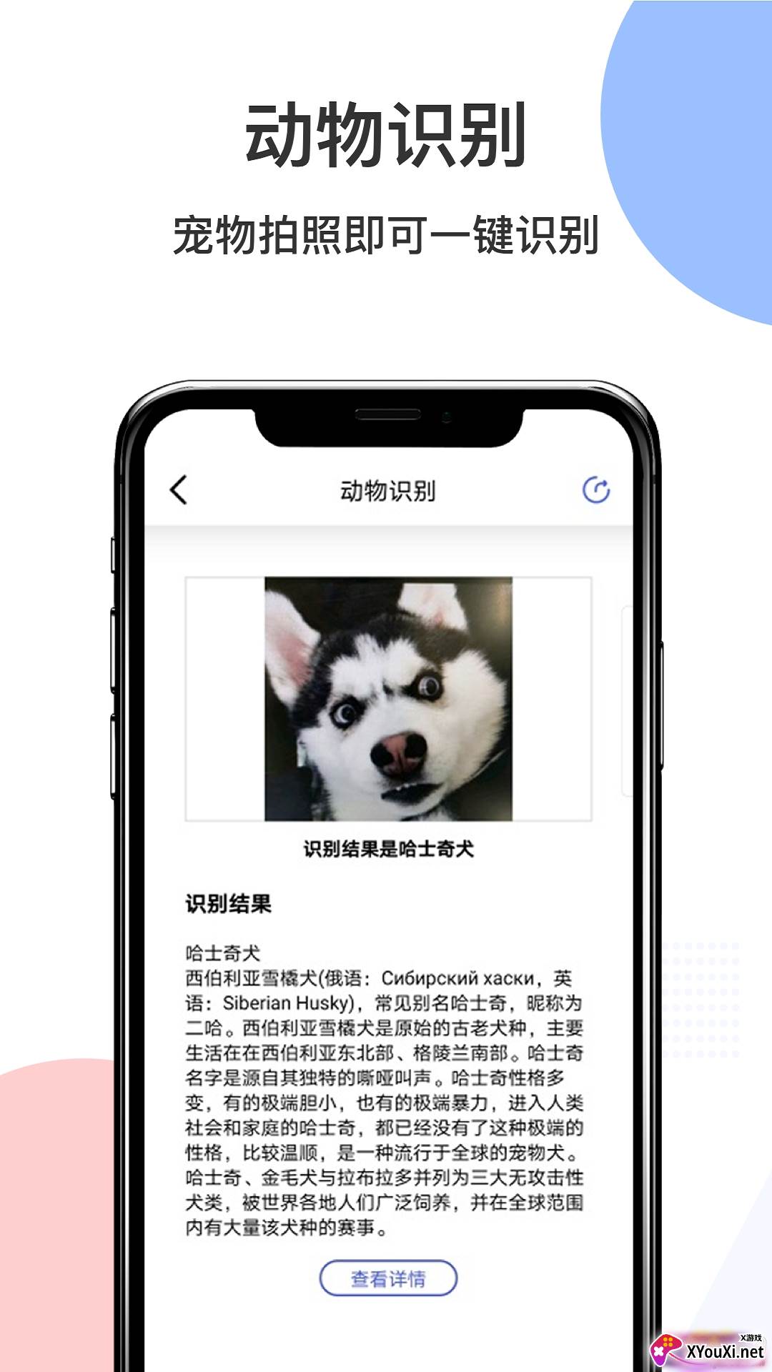 智慧识图Pro精准版截图