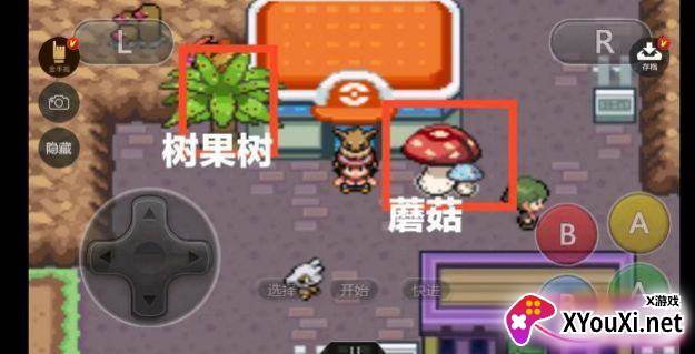 口袋妖怪去吧伊布3.0汉化版截图