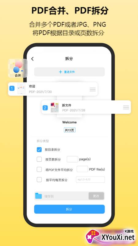 金闪PDF截图