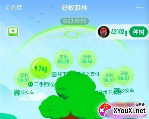 秋风2.4.2(秋风蚂蚁森林助手)截图