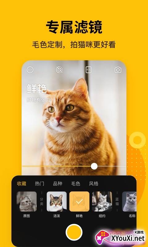 爪叽app宠物相机版截图