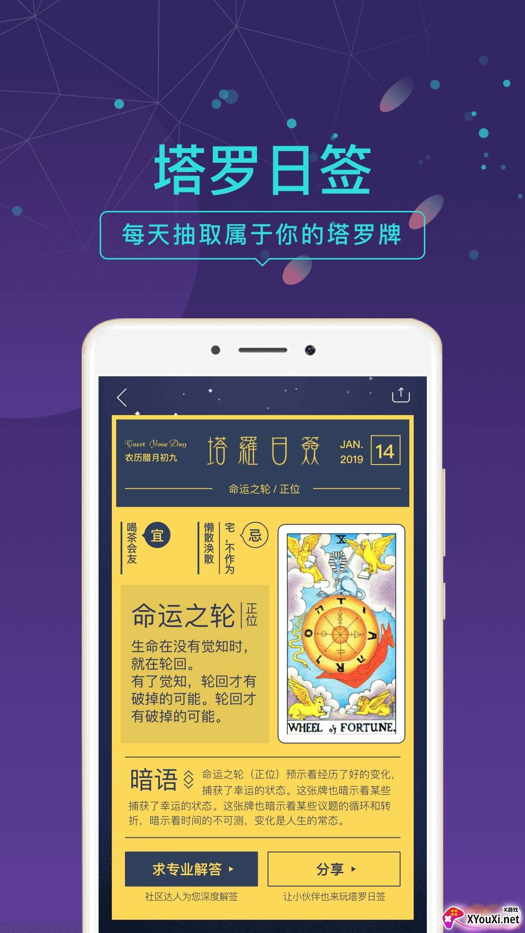 问问塔罗app占卜师注册版截图