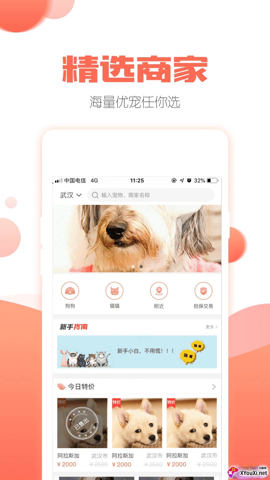 派多格宠物app活体交易版截图