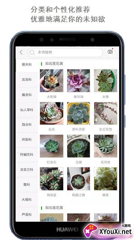 拍照识花软件(识别植物)截图