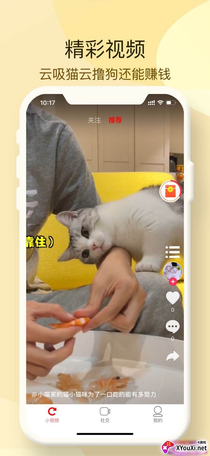 小萌猫app截图