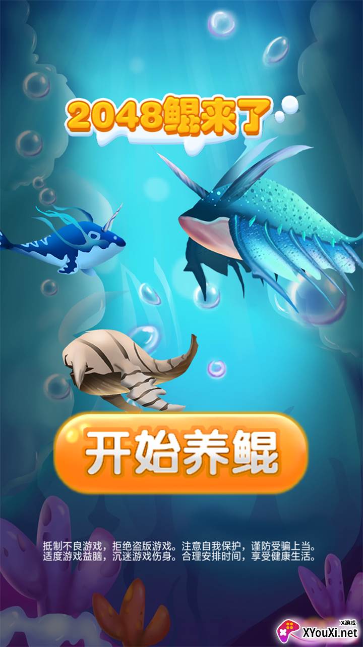 2048鲲来了截图