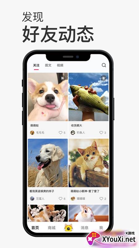 小宠书app截图